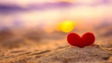 أقوال الفلاسفة في الحب تأملات عميقة تجسد جوهر المشاعر الإنسانية وتجذب الأرواح نحو السعادة الحقيقية 8 أقوال الحكماء عن الحب